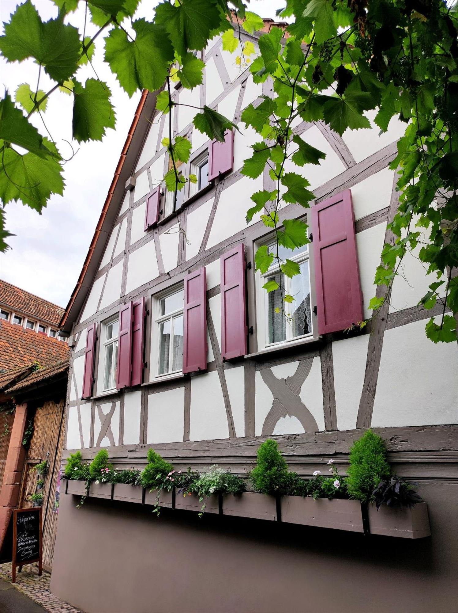 Hofgarten Rosa Ilbesheim bei Landau in der Pfalz Exterior foto